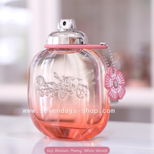 Versace クリスタル　ノワール３点セット！ ！！夢！！ Sevendays